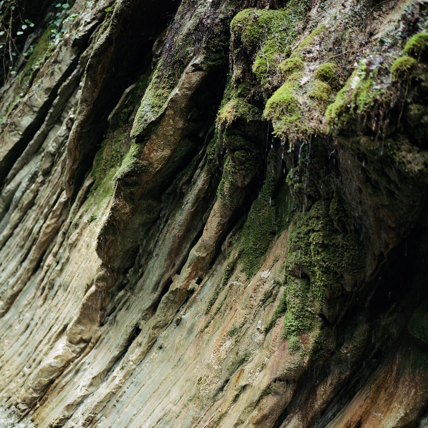 鬼台