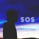 SOS（王嘉源Remix）