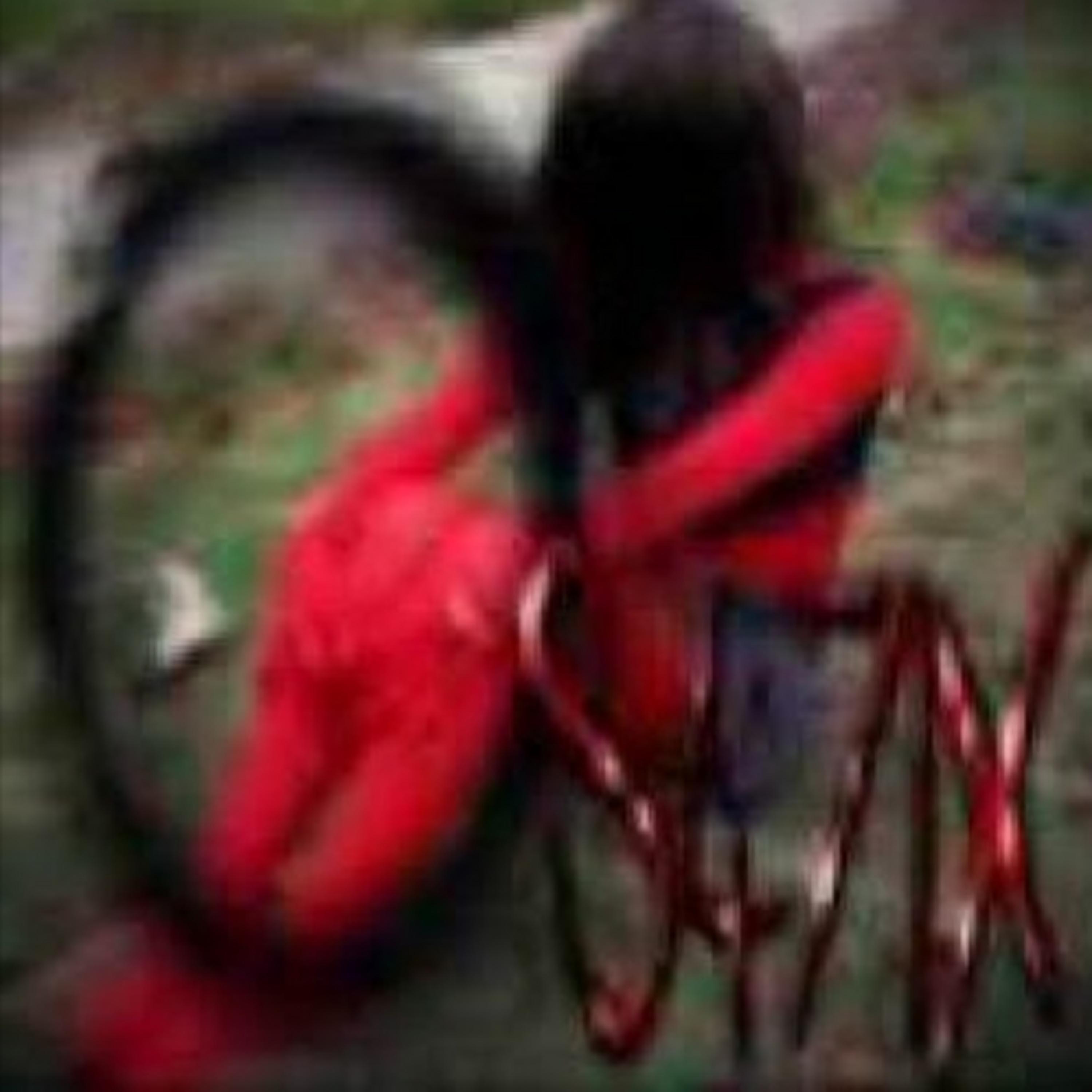 生命如此痛苦，但死亡并非如此。