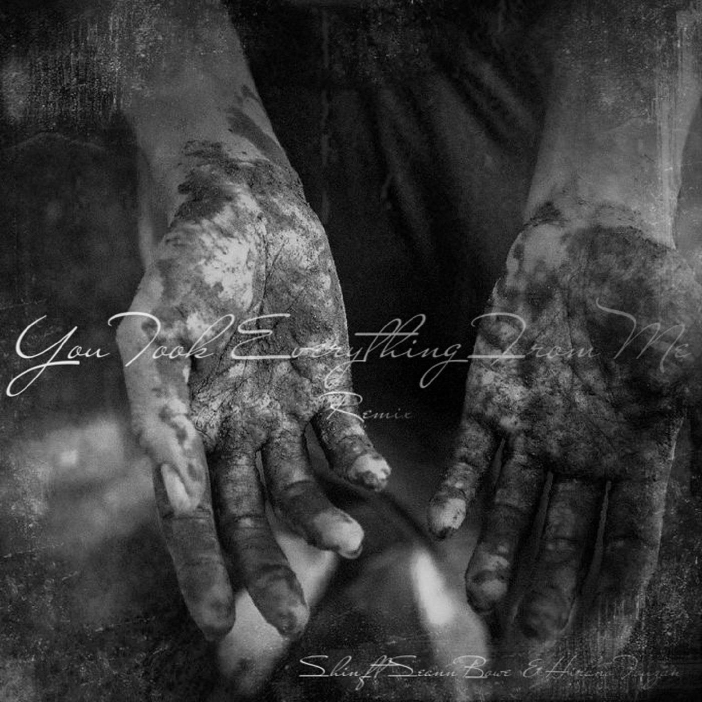 You Took Everything from Me (Remix) [feat. Seann Bowe & Hirano Touzan]
