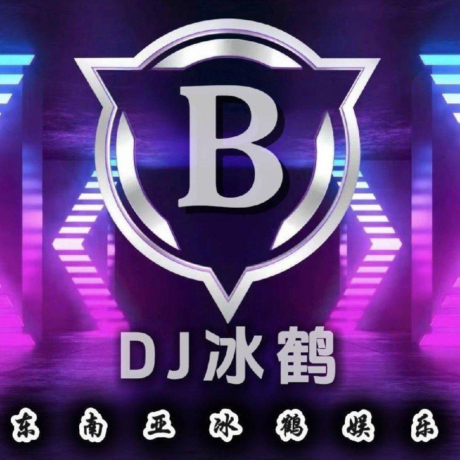 侧脸(dj冰鹤 remix) - Dj冰鹤Remix - 电台节目 - 网易云音乐