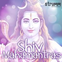 Shankar Mahadevan - Breathless (BB Instrumental) 无和声伴奏
