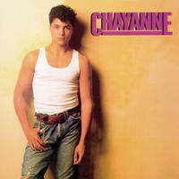Chayanne - Tu Pirata Soy Yo (karaoke)
