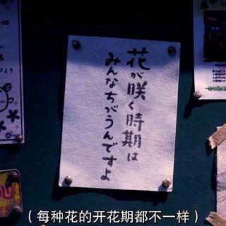 钢琴曲（安静、流行、读书、安眠)