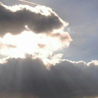 妳的温柔出现在了我的生命