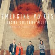 Emerging Voices