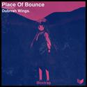 Place of Bounce