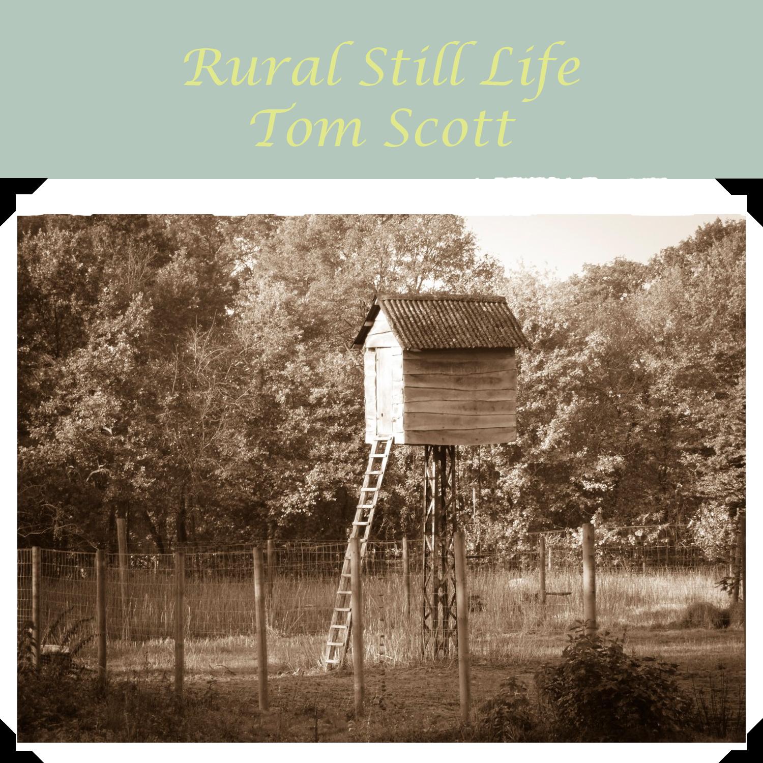 Rural Still Life
