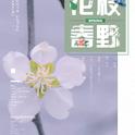 花枝春野专辑