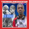 THEWORLDMUSICSTAR - How Many 2