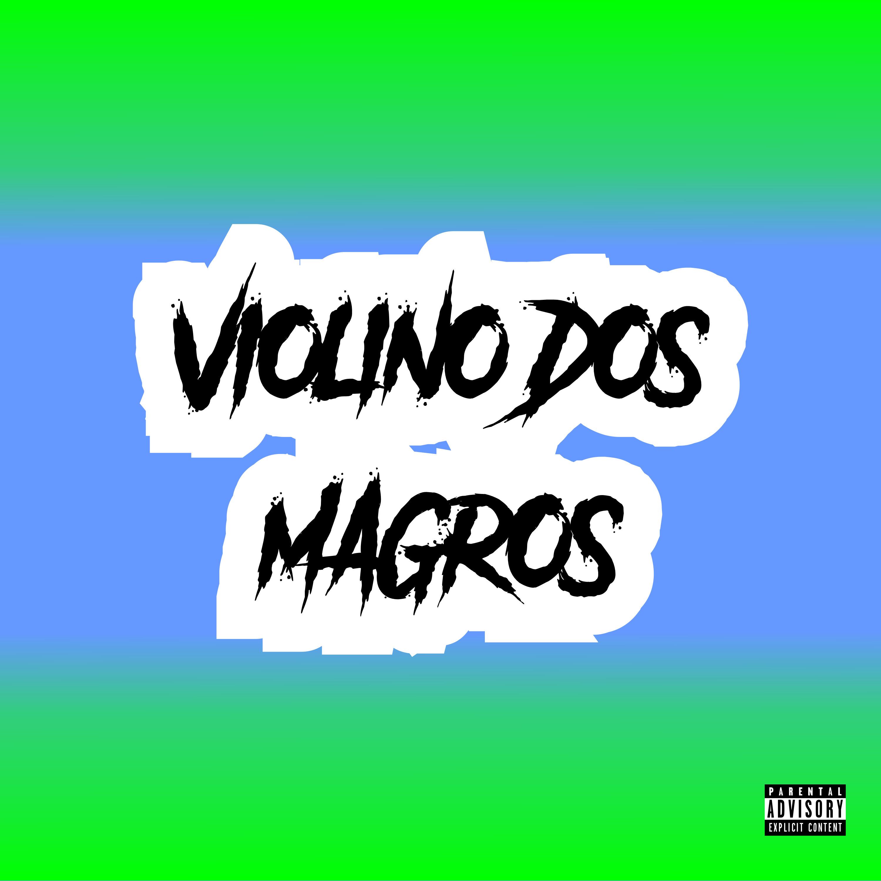 Violino dos Magros