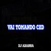 DJ Aranha - Vai Tomando Cxd