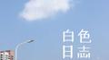 白色日志专辑