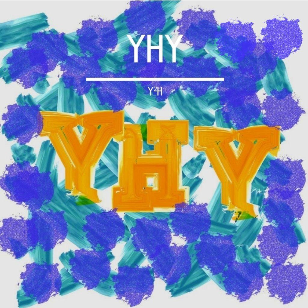 Y×H×Y＝No.1