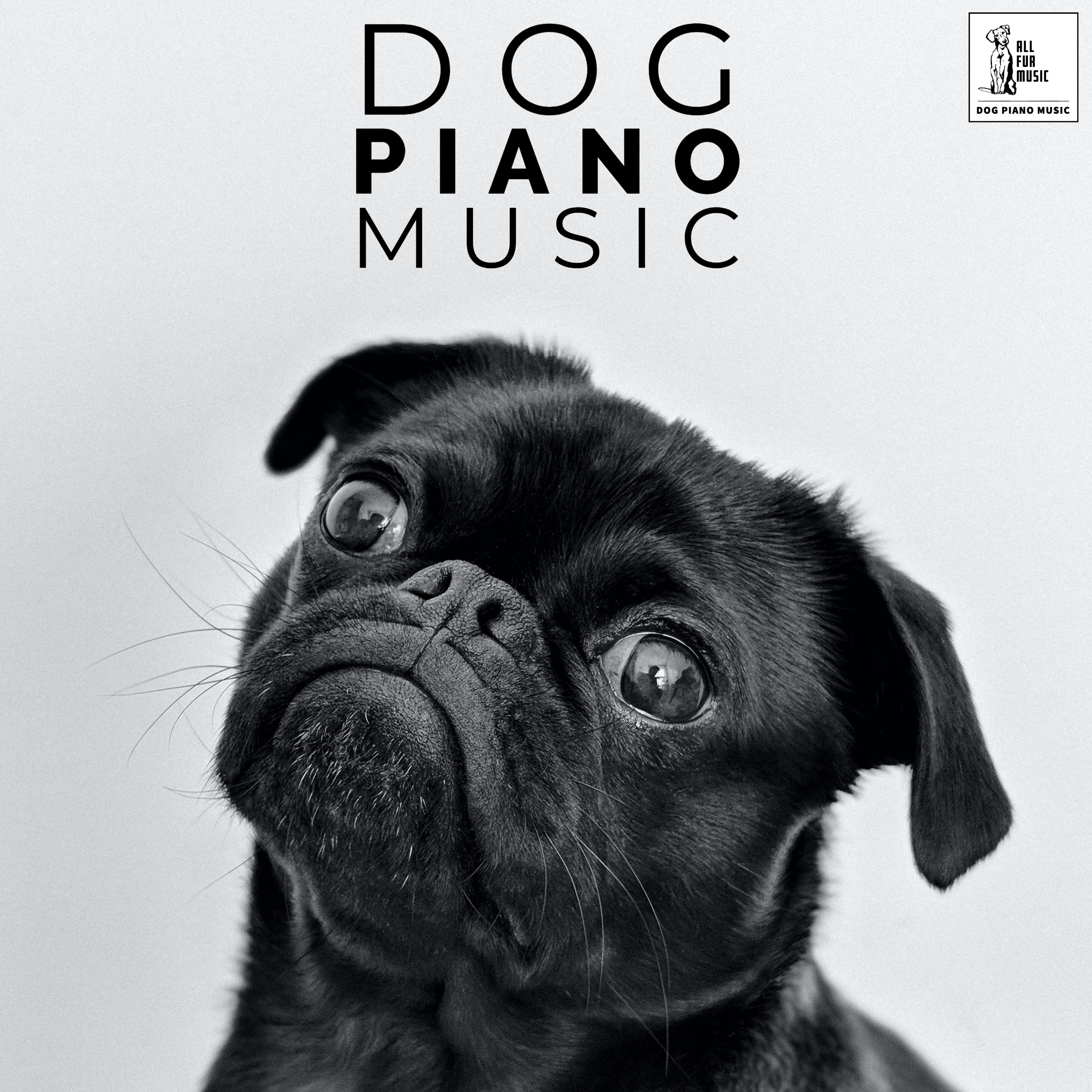 Dog Piano Music