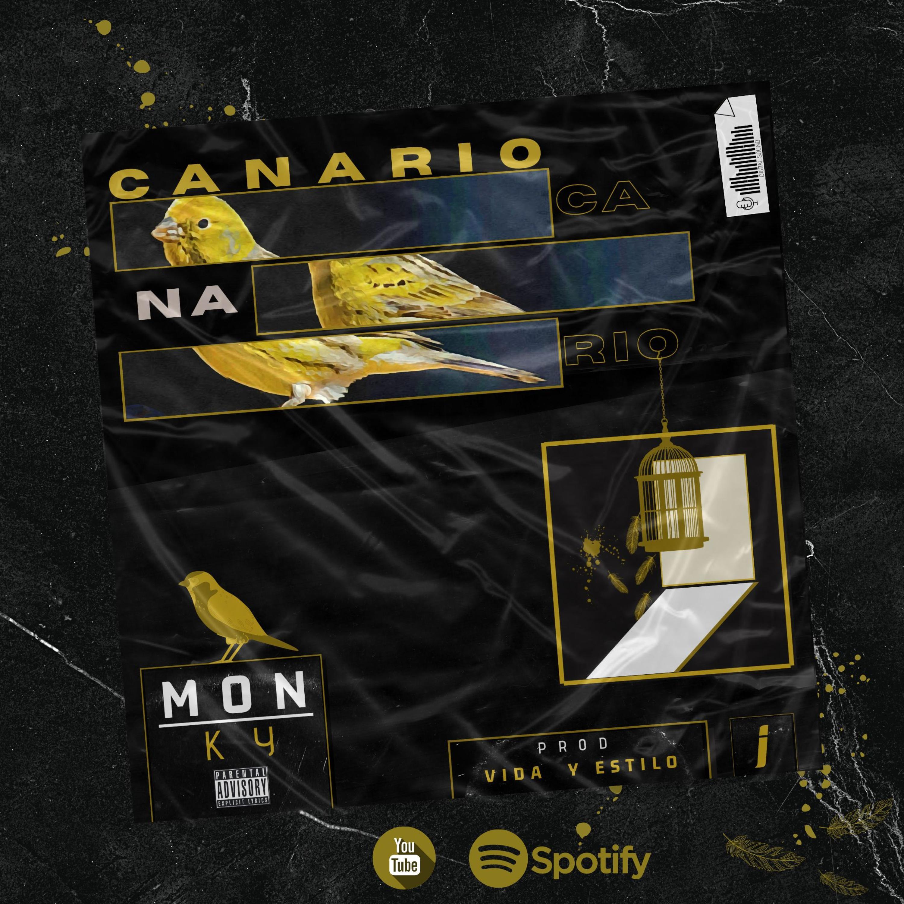 Canario