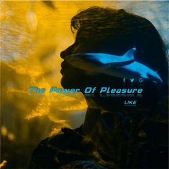 The Power Of Pleasure