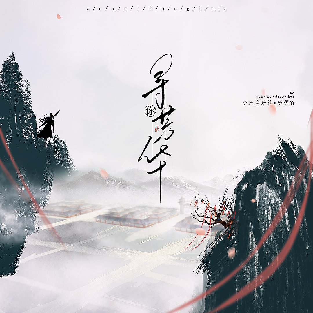 寻你芳华