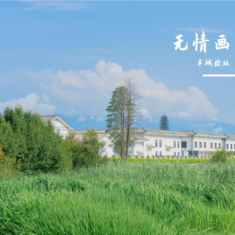 无情画