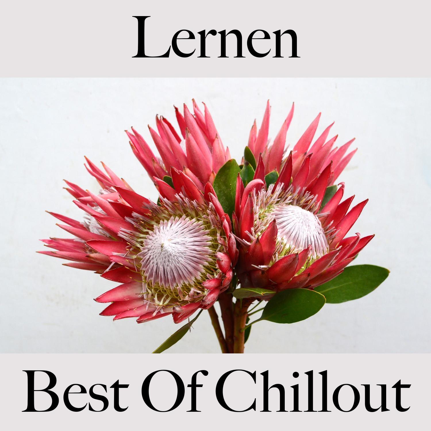 Lernen: Best of Chillout