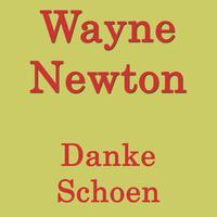 Wayne Newton - Can t Take That Away From Me (karaoke)