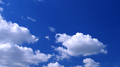Bluesky专辑