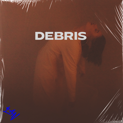 DEBRIS