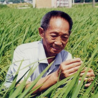 【纪念】永远的袁隆平