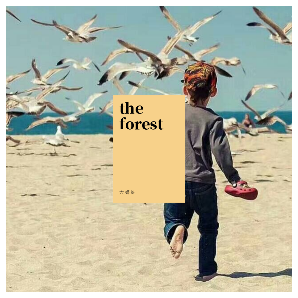 the forest专辑