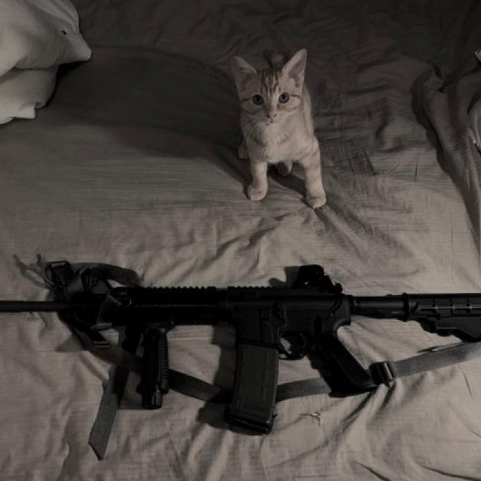 Ocean Eyes X Acura Integurl（KAIYI）