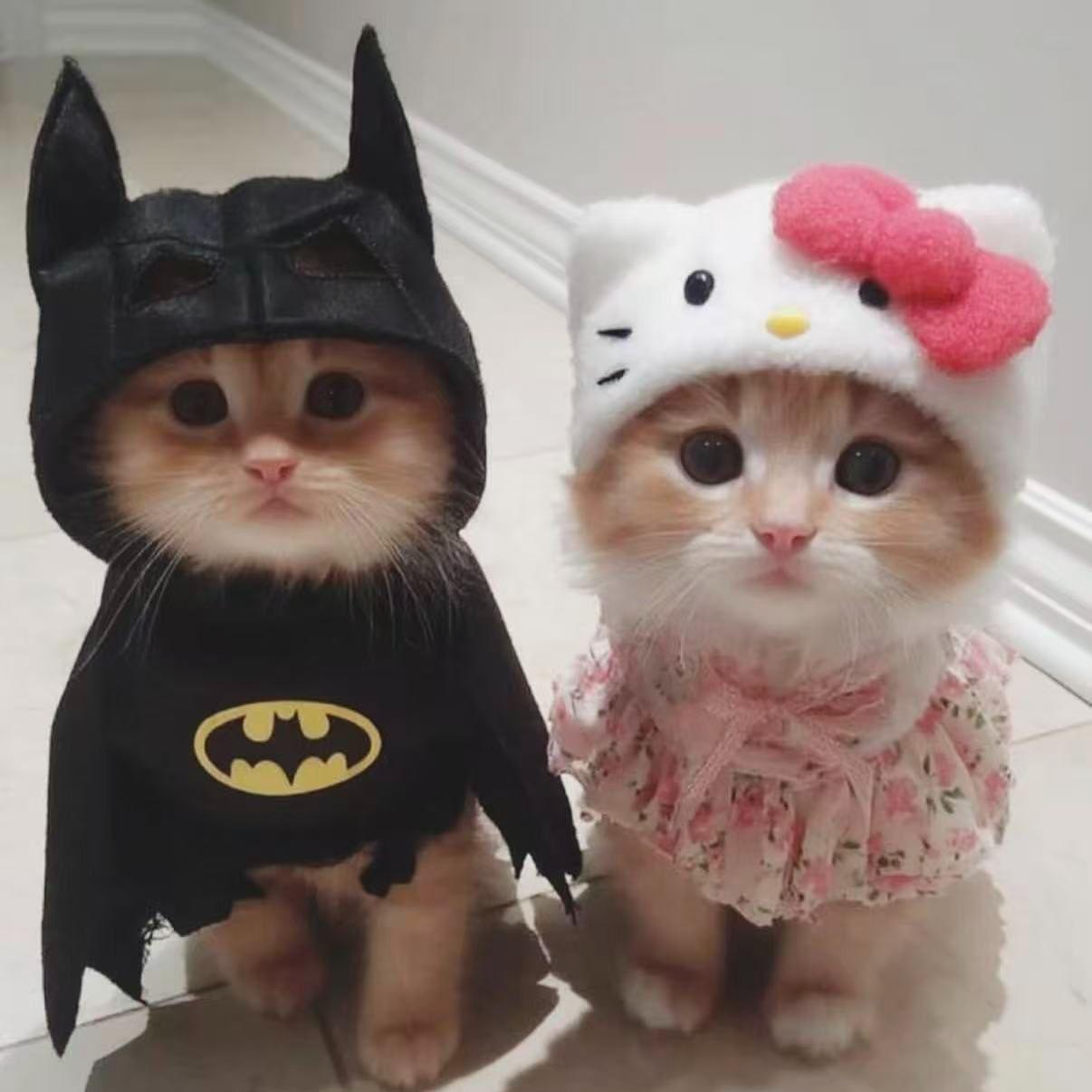 "爱意" sadpiano x sasi x bobby x 痛苦旋律伴奏