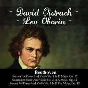 Beethoven: Sonata For Piano And Violin No. 1 In D Major, Op. 12 - Sonata For Piano And Violin No. 2 