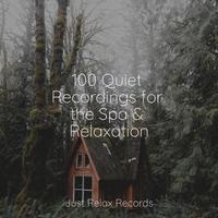 100 Quiet Recordings for the Spa & Relaxation