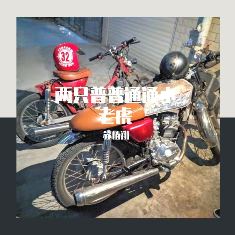 两只普普通通小老虎
