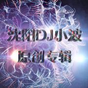 舞曲制作人沈阳Dj小波2018原创专辑