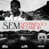 DJ 2L Da Rocinha - Sem Sentimento no Amor