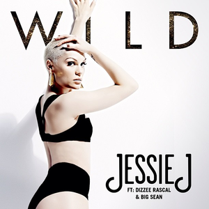 Dizzee Rascal、Jessie J、Big Sean - Wild （升2半音）