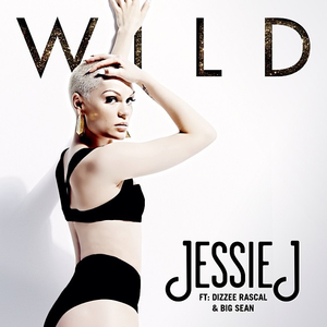 Dizzee Rascal、Jessie J、Big Sean - Wild （降7半音）