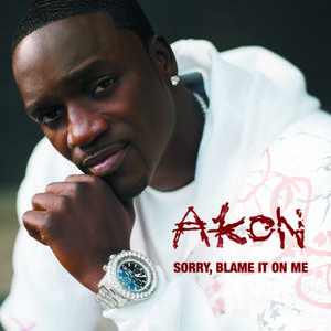 Akon-Sorry Blame It On Me  立体声伴奏 （降3半音）