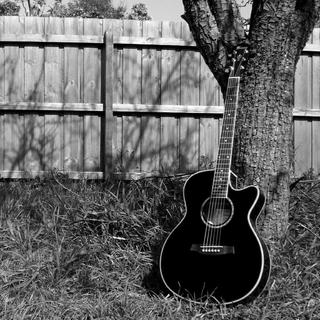 Acoustic Guitar民谣吉他/草地上的游吟诗人