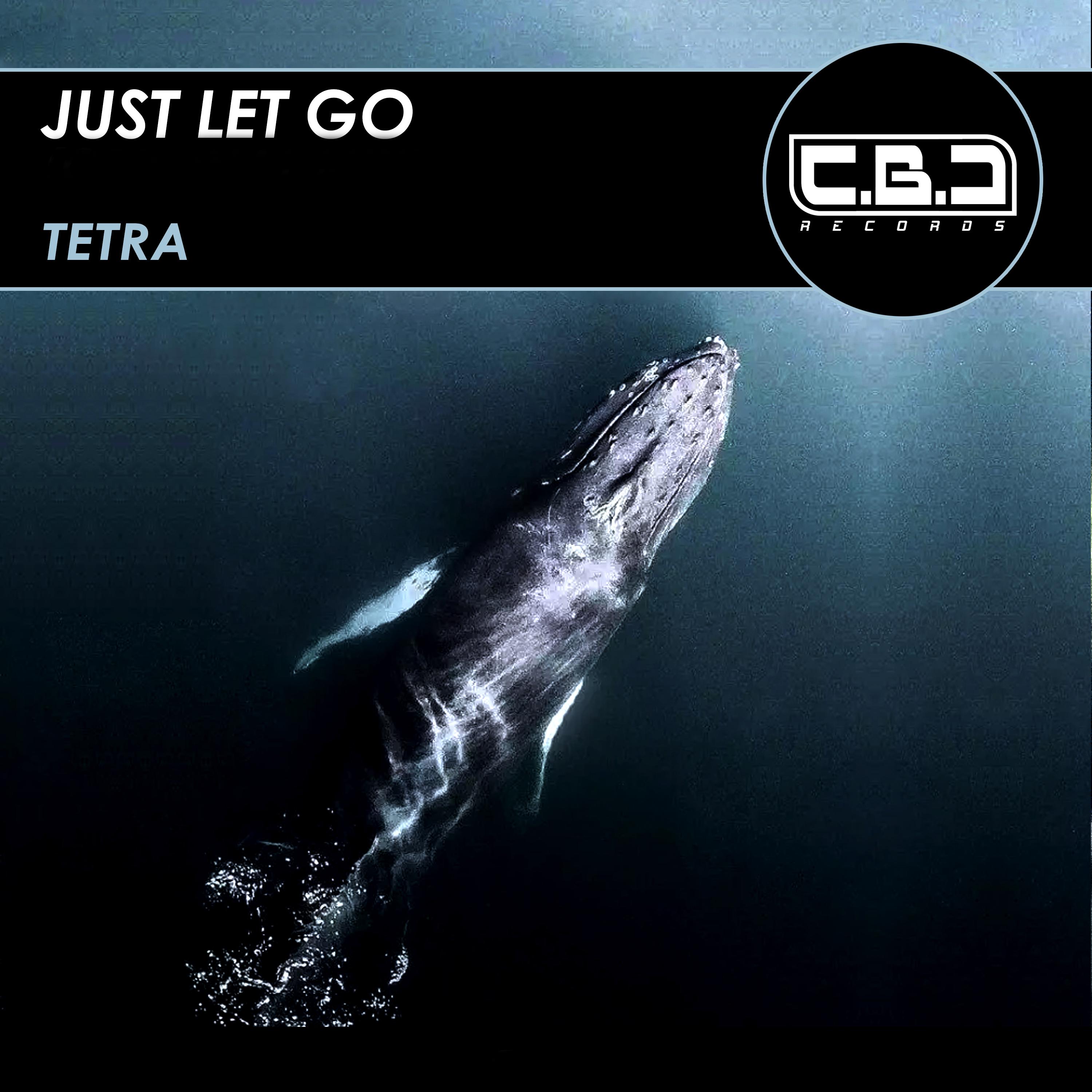 Rock pres. TETRA - Just Let Go (Original Mix)专辑