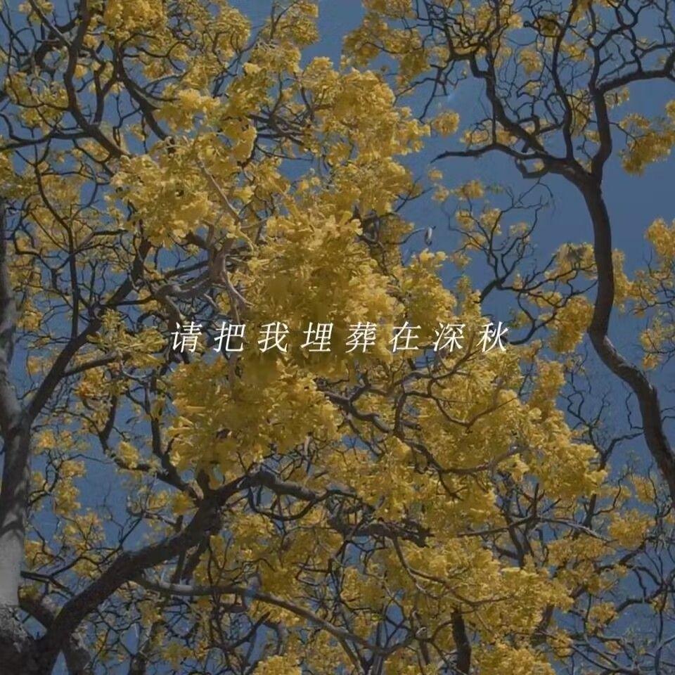 请把我埋葬在深秋(RAP Version)