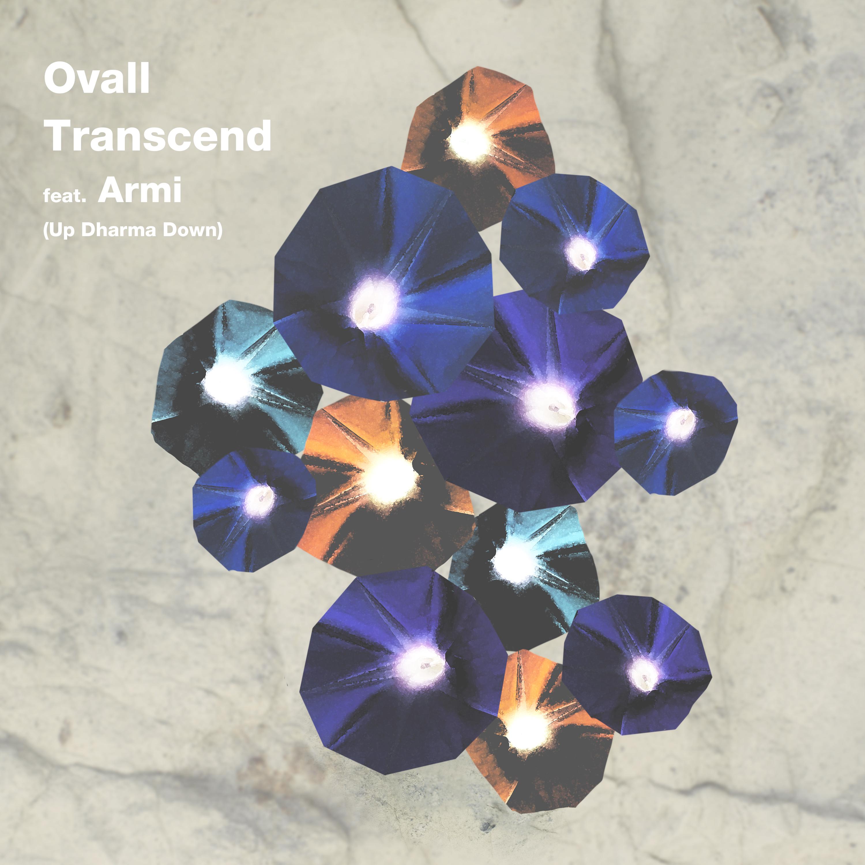 Transcend (Up Dharma Down)