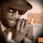 Voices of Rnb Sing - Along专辑