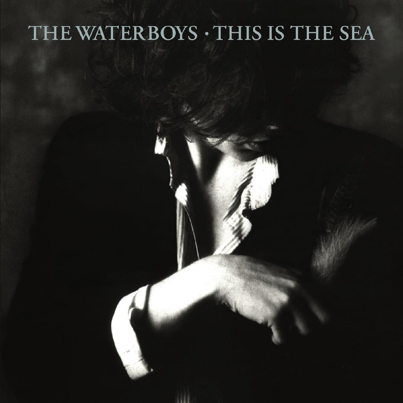 This Is The Sea