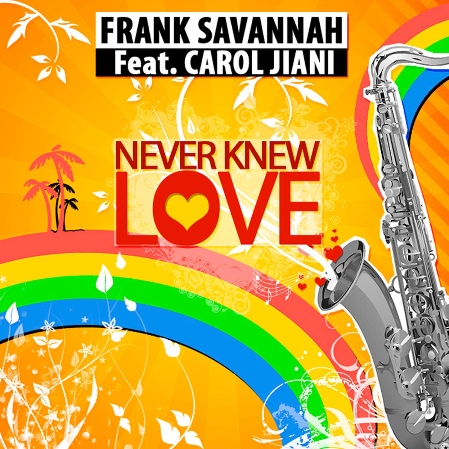 Never Knew Love