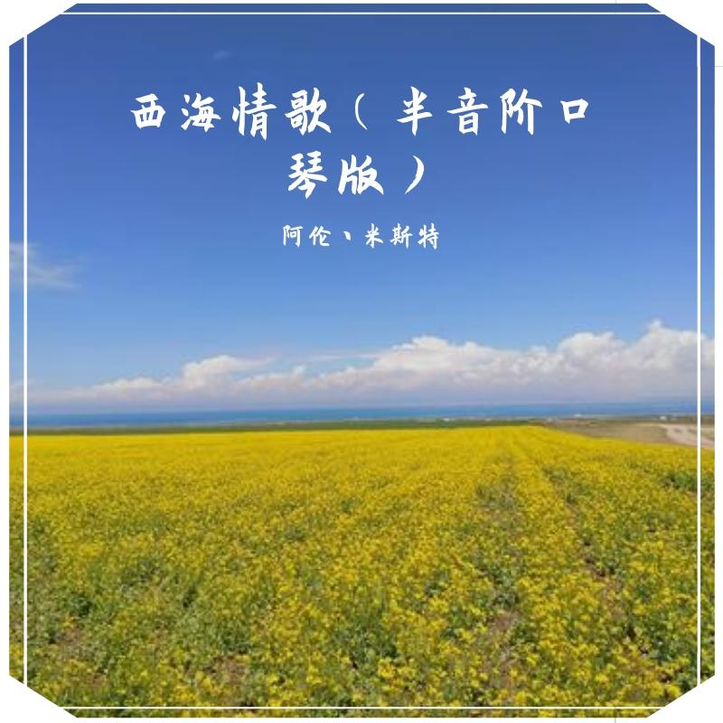 西海情歌口琴简谱_康定情歌口琴简谱(2)