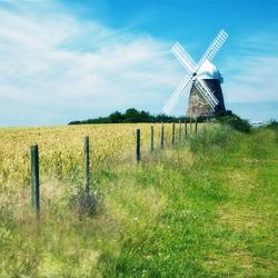 Windy Hill