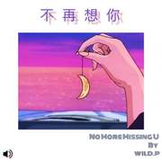 不再想你（feat.时舒晨）