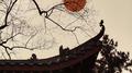 若梦（DJ德朋版）专辑